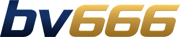 bv666 Logo